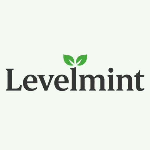 Levelmint website favicon